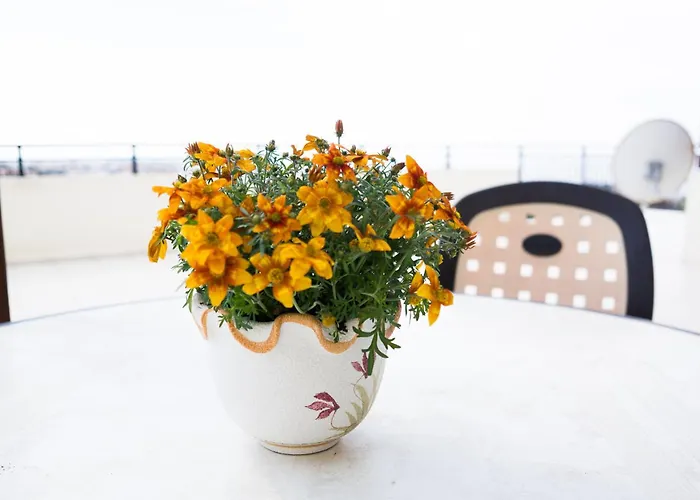 Eden アパート パ フォス